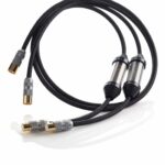 Shunyata Alpha V2 XLR modulation