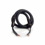 Shunyata Research Alpha v2 SP