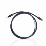 Shunyata Research Delta USB