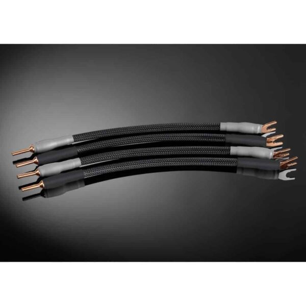 Shunyata Research Straps Alpha v2 SP