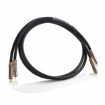 Shunyata Research Delta v2 RCA