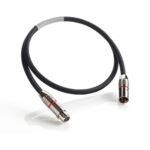 Shunyata Research Delta v2 AES-EBU