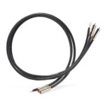 Shunyata Research Gamma Phono