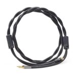 Shunyata Research Gamma SP